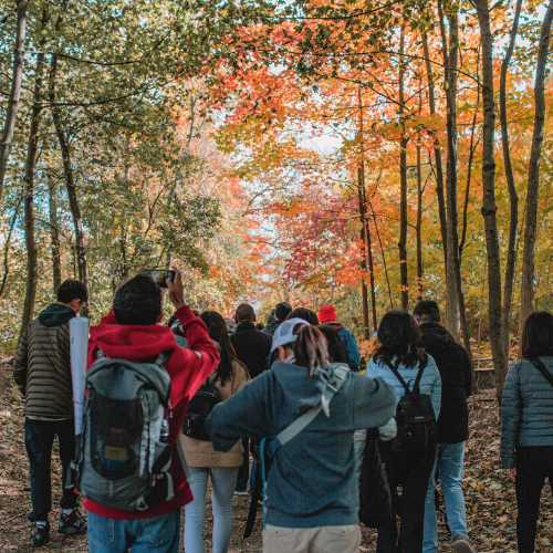 Environmental Organizations for Youth in Toronto